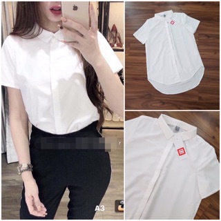 Áo sơ mi cổ đức đuôi tôm ngắn tay thiết kế SMCC25