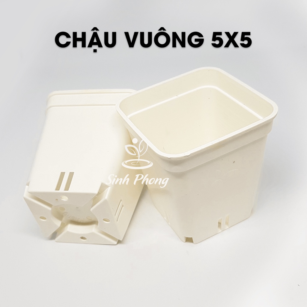 Chậu vuông 5x5 màu TRẮNG set 50 cái, sản phẩm bền, dày để trồng sen đá, xương rồng, thủy sinh