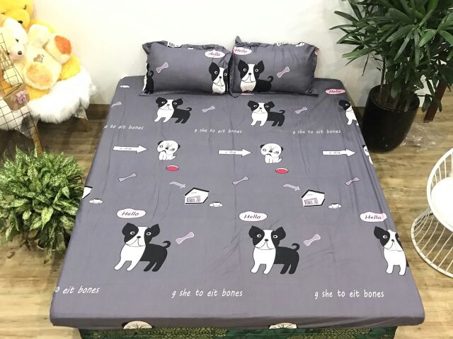 Set ga gối vỏ gối, vỏ gối ôm Cotton Poly (được chọn mẫu)