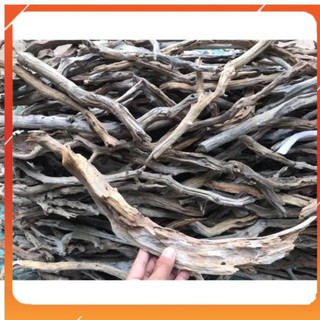 Lũa Linh Sam - Lõi Thép