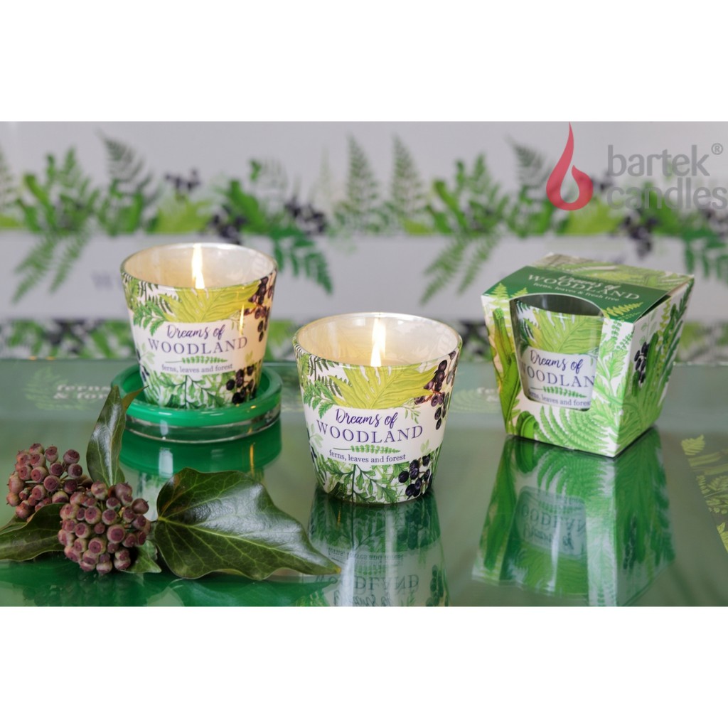 Ly nến thơm Bartek Candles BAT4591 Dream of Woodland 115g (Hương cây dương sỉ)