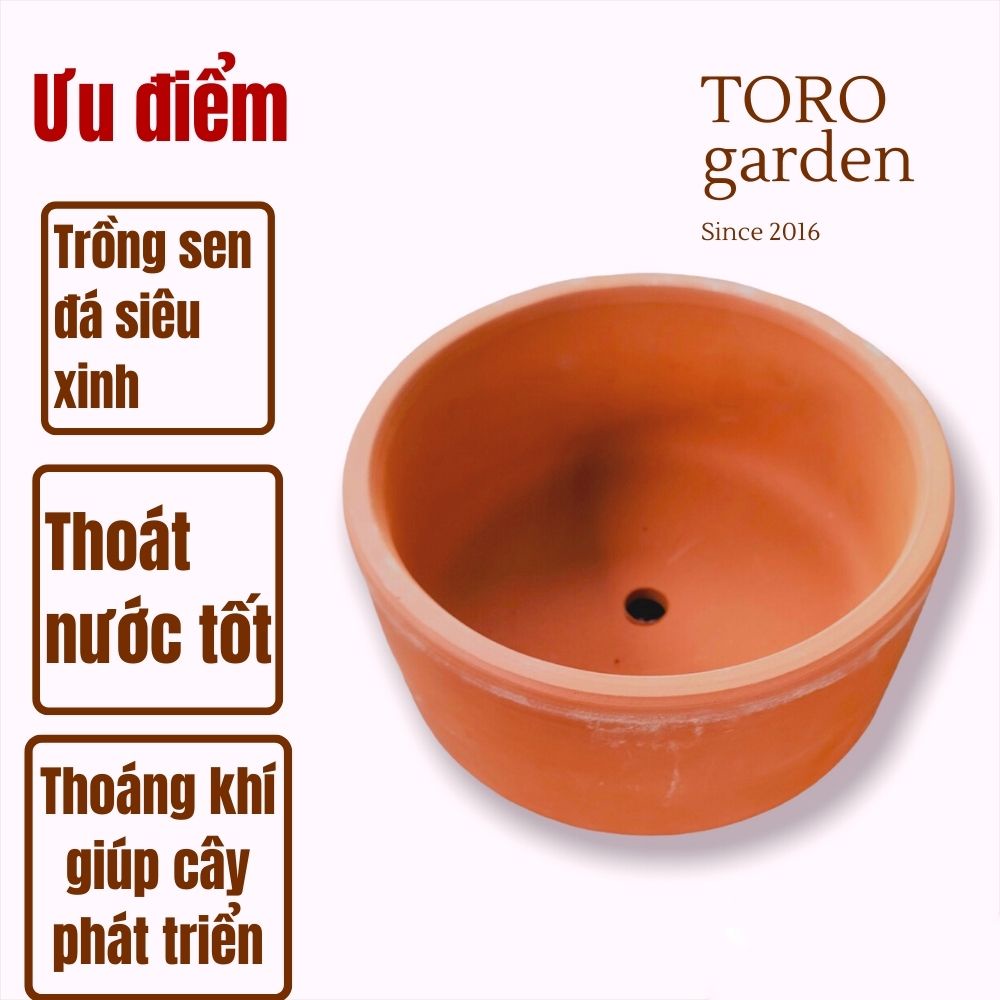 CHẬU ĐẤT NUNG TRÒN NÂU ĐƯỜNG KÍNH 12 CM  SIÊU PHẨM TRỒNG SEN ĐÁ