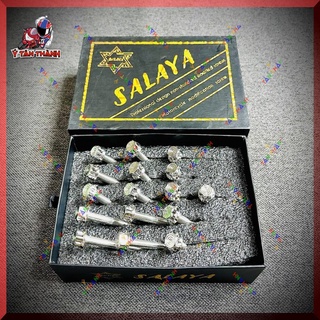 Bộ ốc lốc máy salaya v2 cho wave,dream 100 ms148