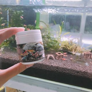 Muối GH+ ( dùng cho tép cảnh + thủy sinh )
