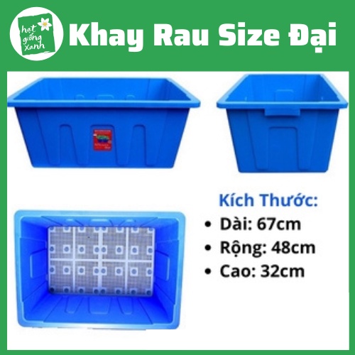 Khay Trồng Rau Size Đại 70 Lít Nhiều Màu