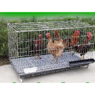 Chuồng 1Mét3 Dành Cho Chó Lớn, Chuồng Thép Chắc Chắn