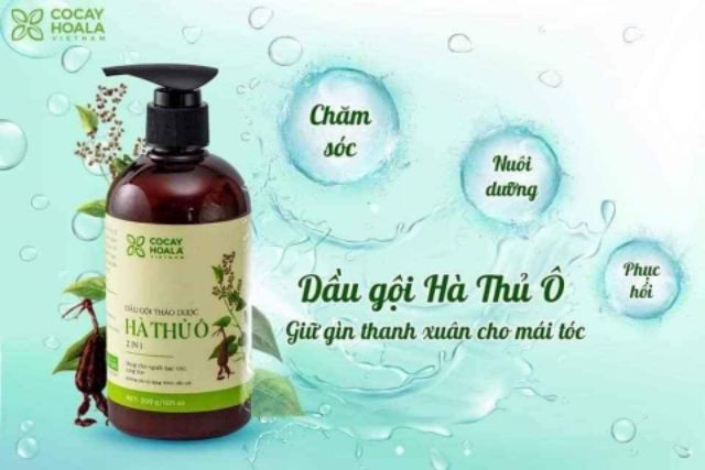 Dầu gội Hà Thủ ô, giảm tóc bạc, ngăn rụng tóc Cỏ cây hoa lá 300ml