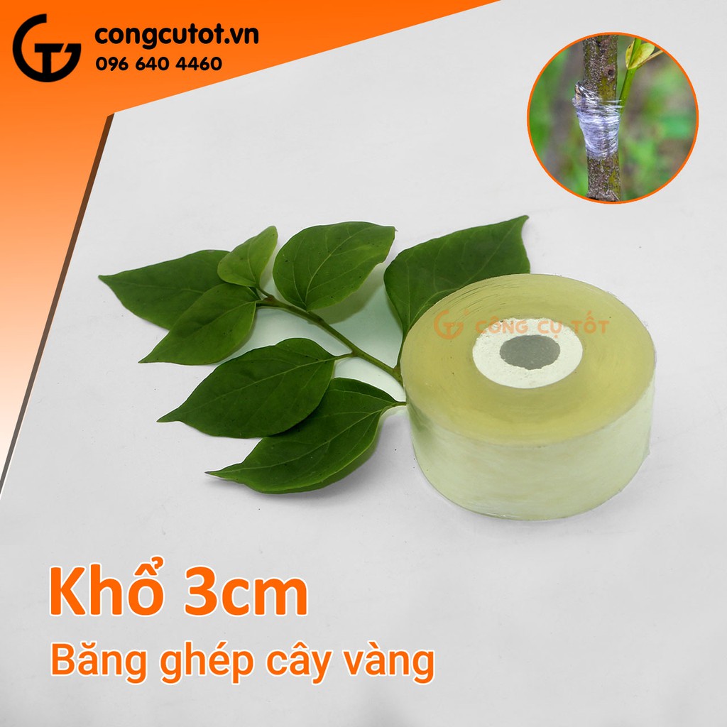 Băng ghép cây vàng tự dính tự hủy