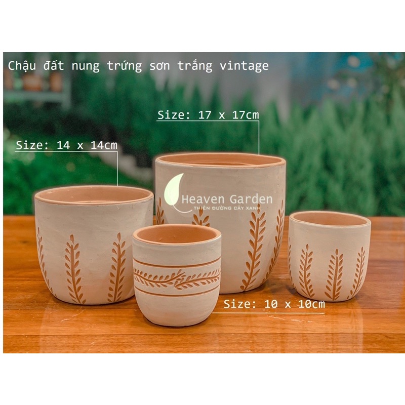 Chậu đất nung trứng sơn trắng vintage - chậu trồng cây