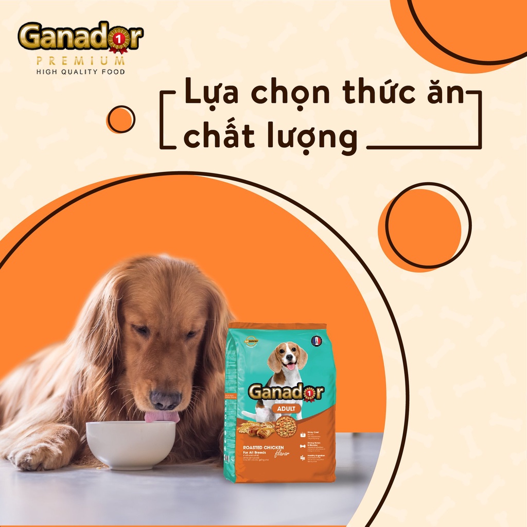 Thức Ăn Cho Chó Lớn Ganador Adult Đồ Ăn Hạt Khô Vị Gà, Cá Hồi Gói 400g - iPet Shop