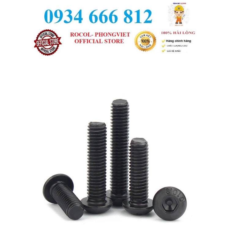 Set 50 cái M5 Bulong lục giác chìm đầu cầu M5 thép mạ cấp bền 10.9 M5