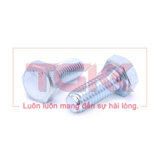 Bulong mạ kẽm M12 (20-100mm)