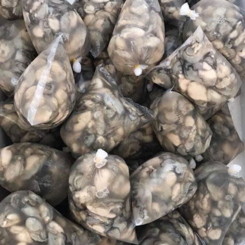 ruột hàu sữa tươi 1kg và 500gram (mới)