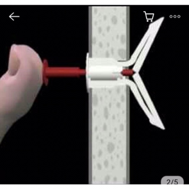 Tắc kê bướm 1 con 8 Ly