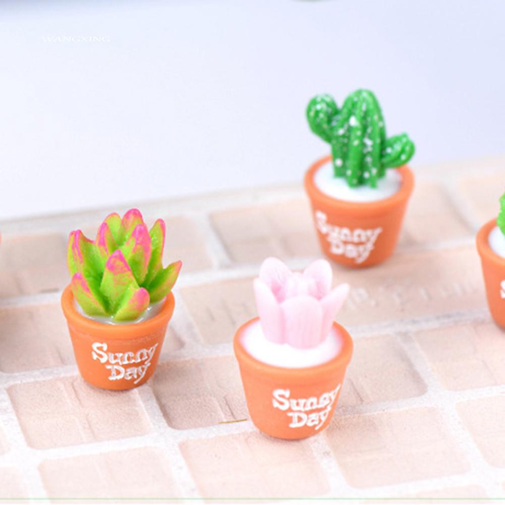 Set 2 mô hình cây xương rồng dùng trang trí sân vườn