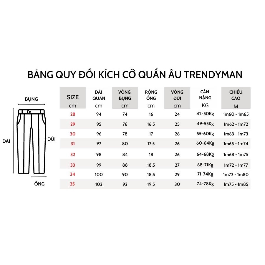 Quần dài nam Trendyman phong cách Hàn Quốc, ống suông mặc co giãn nhẹ 1 chiều siêu dễ chịu