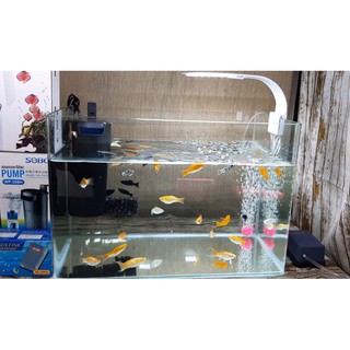 Lọc Thác Đứng Sobo WP-208H