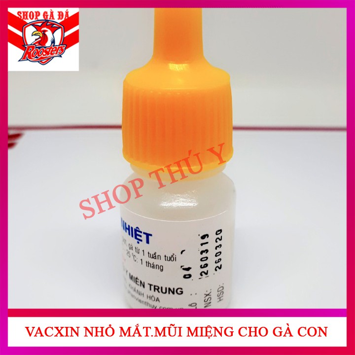 Vacxin lasota chiệu nhiệt - ngừa dịch tả-phân dính đít gà con