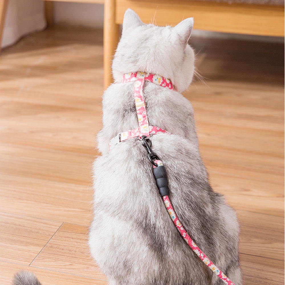 Dây buộc có đai hình chữ H 2 kích cỡ mềm thoải mái có thể điều chỉnh dài 1.5m nhiều màu sắc cho mèo