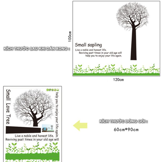 Decal trang trí tường - Thân Cây Rể Đen độc đáo
