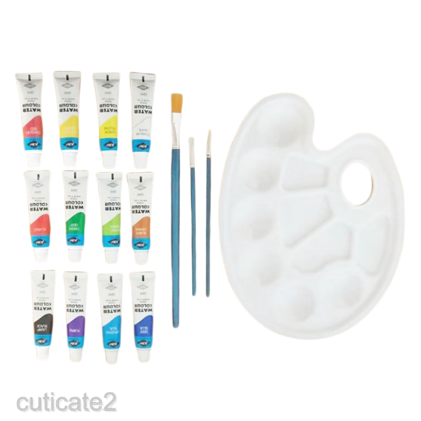 12 Tube Acrylic Paint Set with Palette and Nylon Brush DIY Art Supply Craft