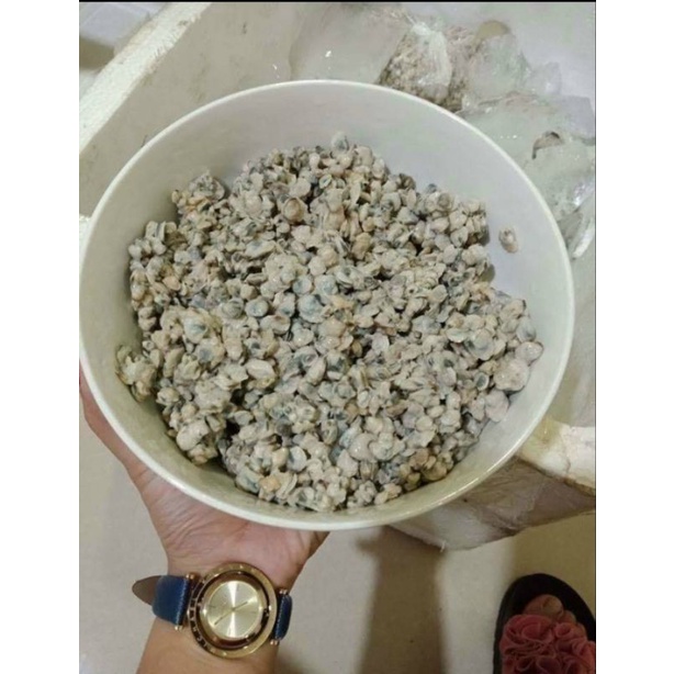 Ruột Hến Sông Lam