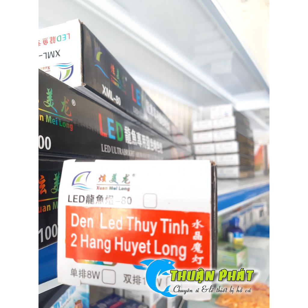Đèn Led Thủy Tinh XML 80 - 2 Hàng Huyết Long Siêu Đẹp