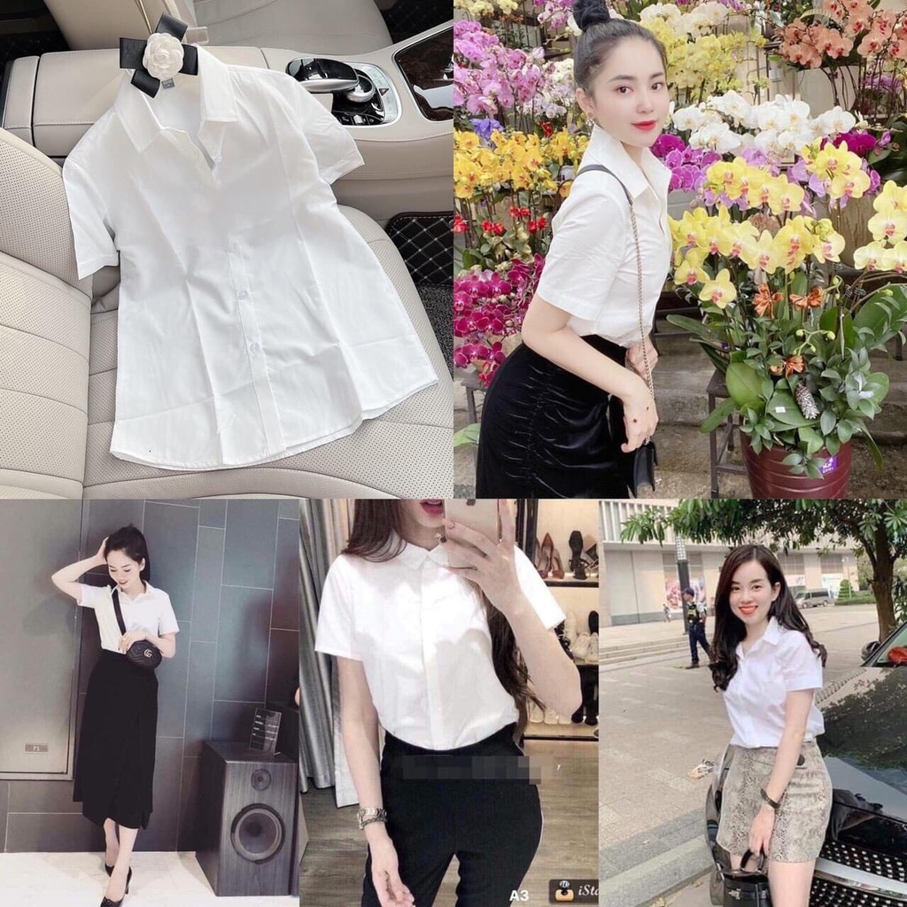 [Mã WASKT410K giảm 10K đơn 50K] [SỈ SLL] Áo Sơ Mi Nữ Cộc Tay_Áo Sơ Mi Trắng Basic Thanh Lịch_Đi Học Đi Làm Đều Xinh | BigBuy360 - bigbuy360.vn