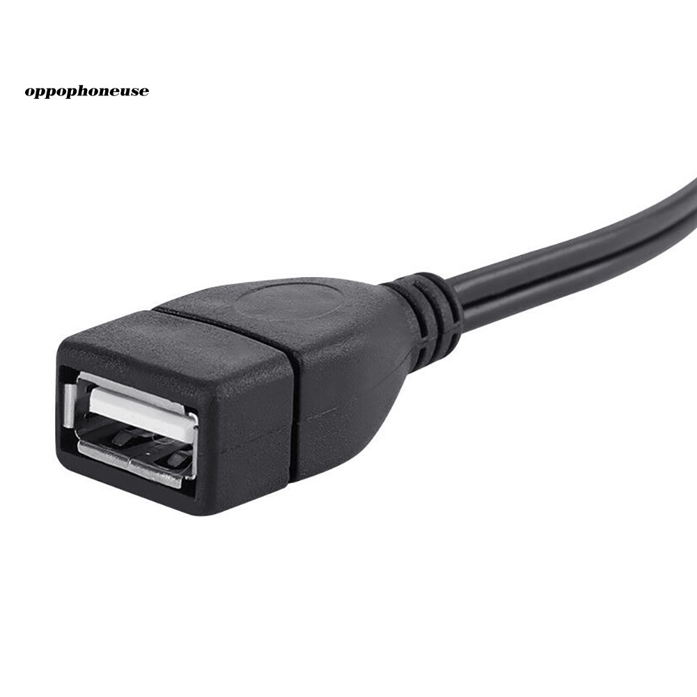 Cáp Chuyển Đổi Âm Thanh Từ Đầu Usb A Cái Sang 2 Rca Đực