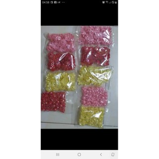 100g hoa cừ 5 cánh