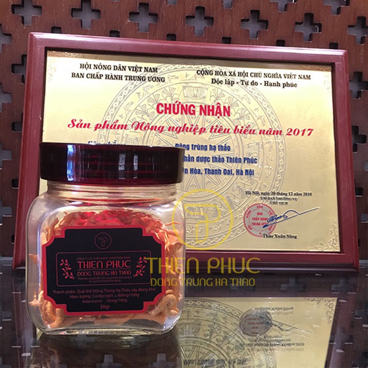 Đông trùng hạ thảo Thiên Phúc khô sấy lạnh 30gr