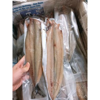 Sĩ 1kg cá thu xẻ một nắng