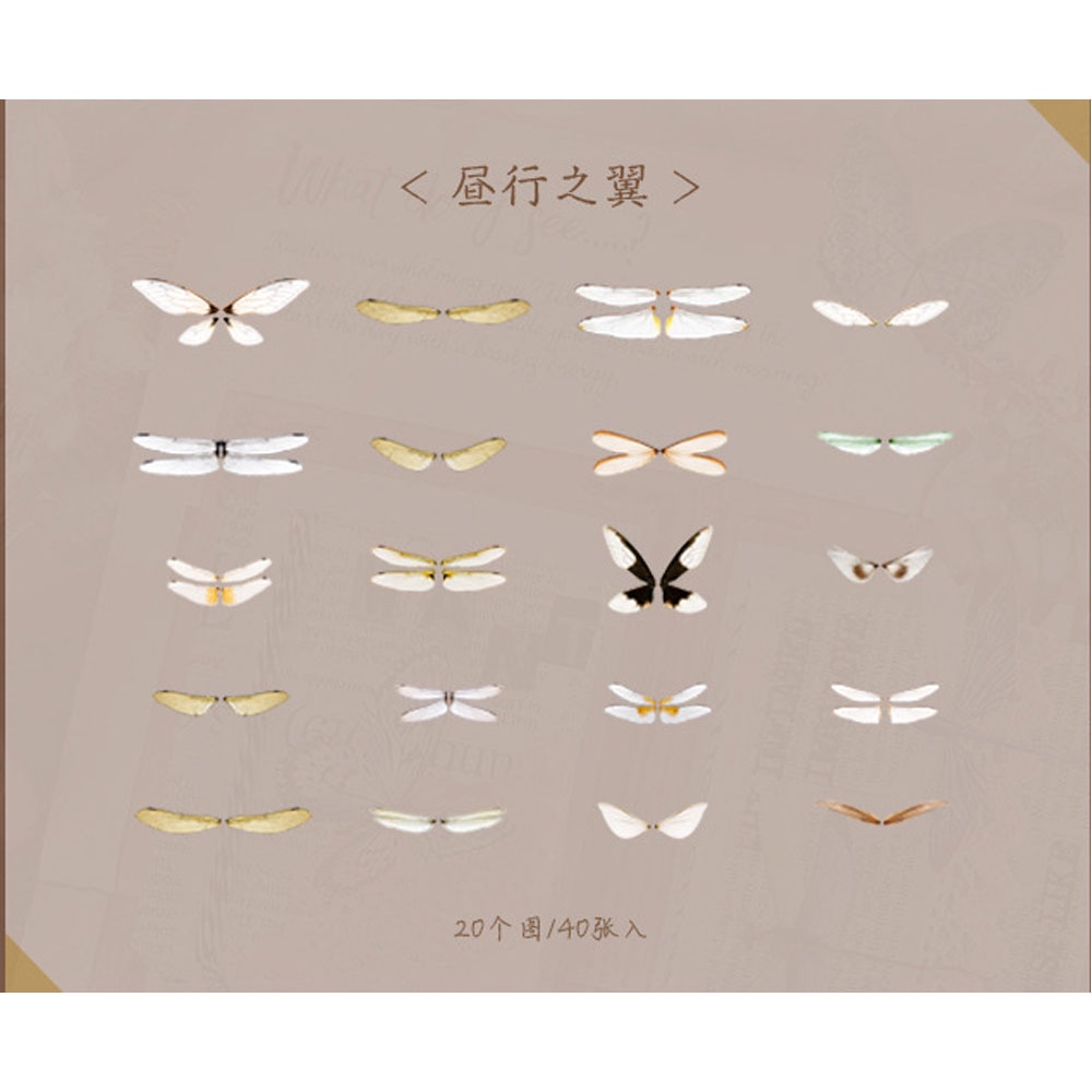 Set 40 miếng dán trang trí in hình cánh con côn trùng dễ thương