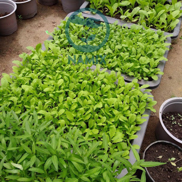 Đất trồng rau vegetables potting mix giá thể hữu cơ trồng rau ăn lá - ảnh sản phẩm 6
