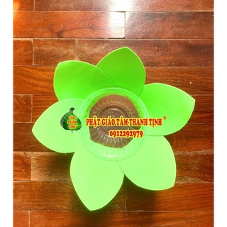 Hoa đăng 6 cánh đơn sắc