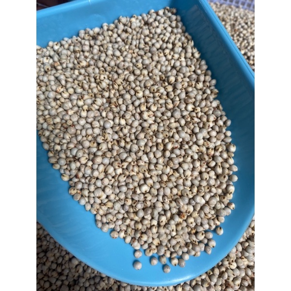 Hạt Bobo Trắng dành cho gà đá, hạt trộn hamster  - Pet Food Store.