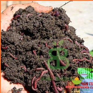 Phân Trùn Quế LAVAMIX, Bổ Sung Dinh Dưỡng, Cải Tạo Đất 2kg