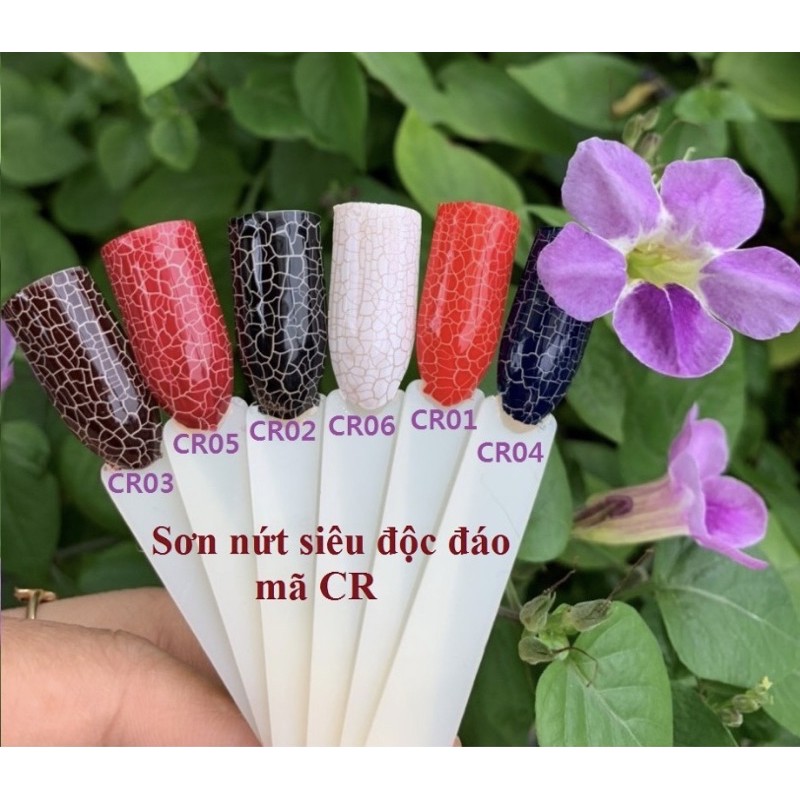 Sơn gel NỨT as - CR