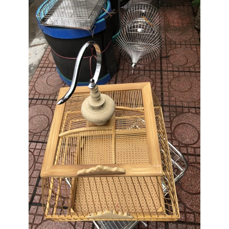 Lồng sinh nan thưa chào mào