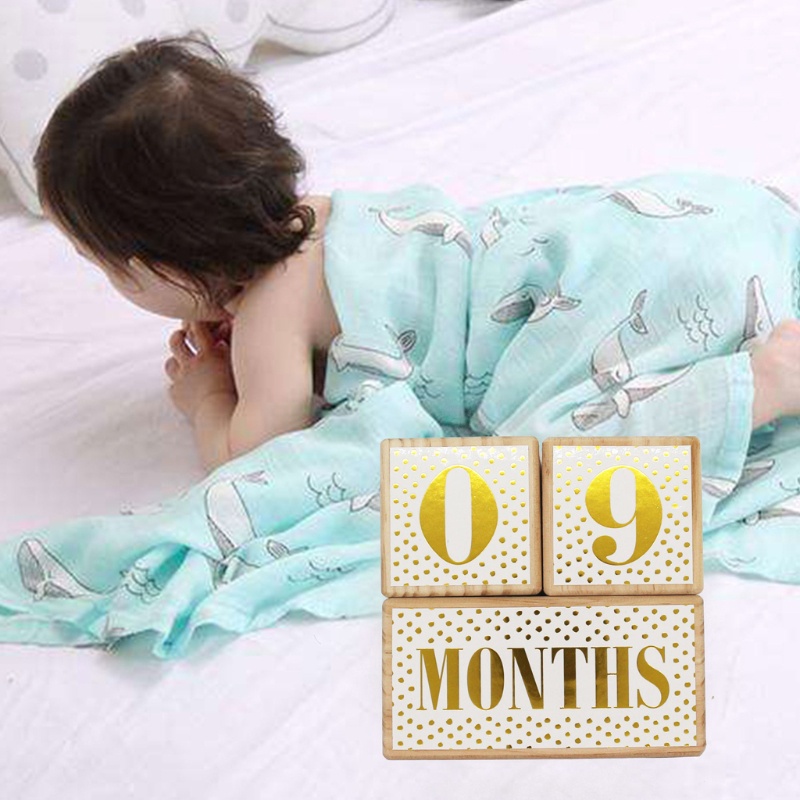 Khối Gỗ Đánh Dấu Cột Mốc Phát Triển Theo Tháng Làm Quà Tặng Cho Cha Mẹ