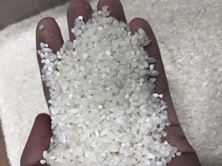 Gạo Tấm Nở