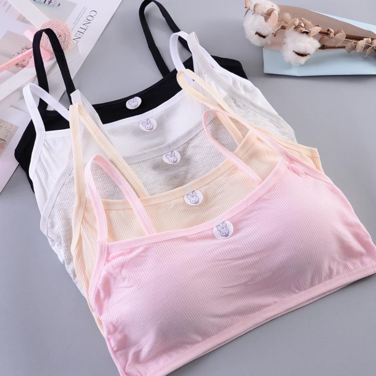 [Giá sỉ] Áo Bra Cotton Hình Thỏ Học Sinh Kèm Mút Ngực