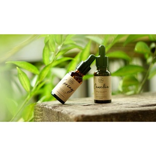 DẦU DƯỠNG DA - SPRING [STORY OF THE FOREST]