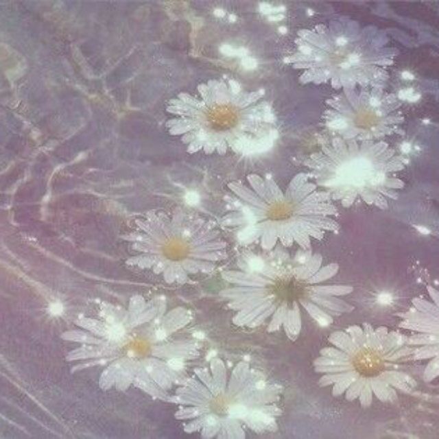 nguyenmailam.08, Cửa hàng trực tuyến | BigBuy360 - bigbuy360.vn