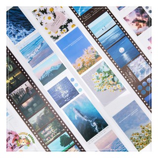 Sticker ảnh photo series vol.7 | mst327