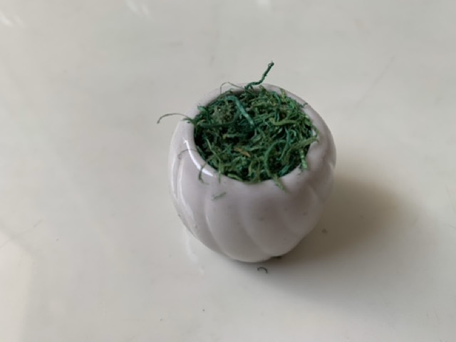 Chậu hoa sứ mini