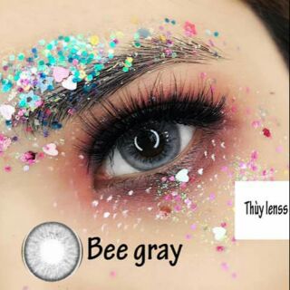 Mẫu lens xám tây / 50k tặng khay đơn