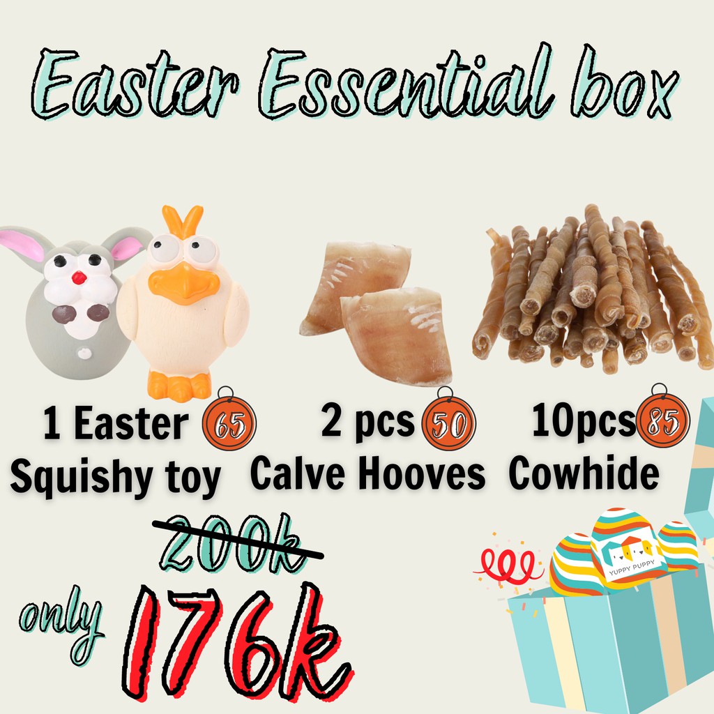 Hộp quà Easter đồ chơi Lễ Phục Sinh và Treat dành cho cún / chó