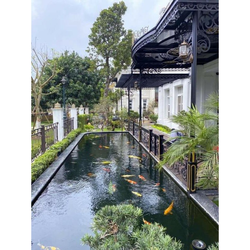 Thuốc Tím KMNO4 tinh kiết không tạp chất- loại 1 100gr