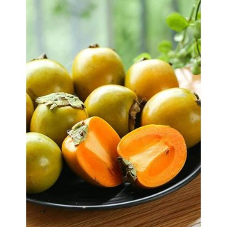Cây Giống Hồng giòn